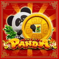 Shi Fu Panda