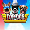 3 Top Dogs