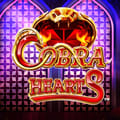 Cobra Hearts