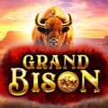 Grand Bison