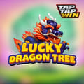 Lucky Dragon Tree