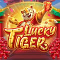 Lucky Tiger