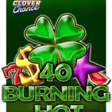 40 Burning Hot Clover