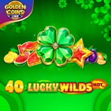 40 Lucky Wilds Hot Golden Coins Link