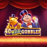 40 Wild Gobbler