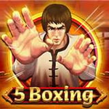 5 Boxing