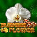 777 Burning Flower