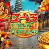 243 Coins of Fortune