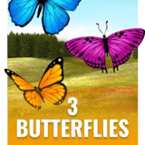 3 Butterflies