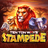 Ten Ton Ways Stampede 96