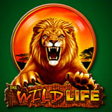 The Wild Life High Roller