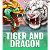 Tiger and Dragon