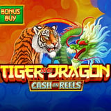 Tiger and Dragon Multiplier Bonus Buy