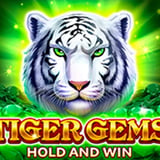 Tiger Gems: Hold and Win