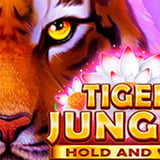Tiger Jungle: Hold and Win