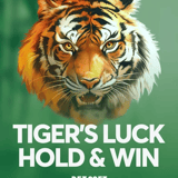 Tiger's Luck - Hold & Win™