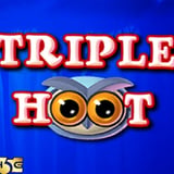 Triple Hoot