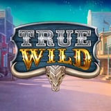 True Wild 96