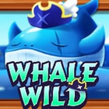 Whale Wild