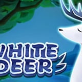 White Deer