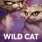Wild Cat