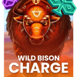 Wild Bison Charge