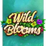 Wild Blooms
