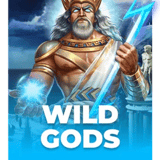 Wild Gods