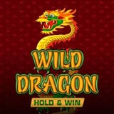 Wild Dragon Hold and Win