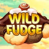 Wild Fudge