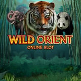 Wild Orient