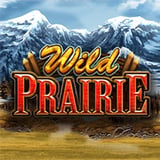 Wild Prairie