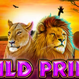 Wild Pride