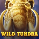 Wild Tundra