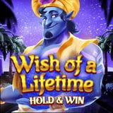 Wish of a Lifetime: Hold and Win