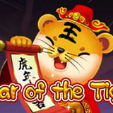 Year Of The Tiger