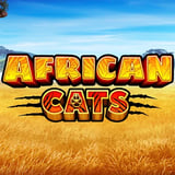 African Cats 96