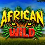 African Wild