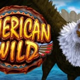 American Wild