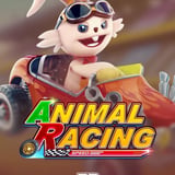 Animal Racing