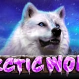 Arctic Wolf