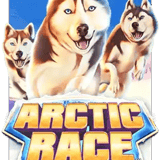 Arctic Race