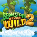 Beanstalk Grows Wild 2