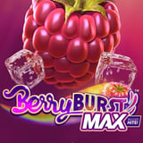 Berryburst Max