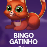 Bingo Gatinho