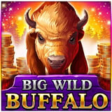 Big Wild Buffalo