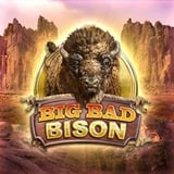 Big Bad Bison