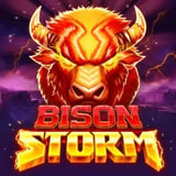 Bison Storm