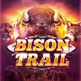 Bison Trail