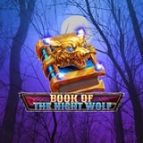 Book Of The Night Wolf